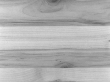 Classification of wood types